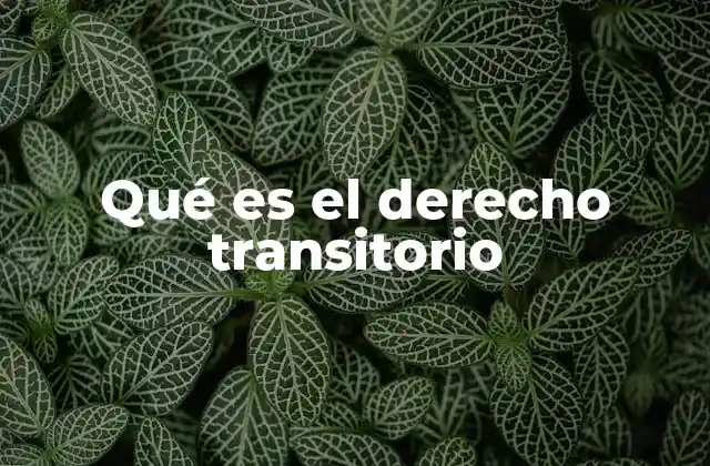 Qué es el Derecho Transitorio