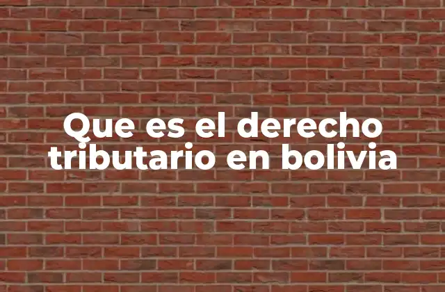 Que es el Derecho Tributario en Bolivia