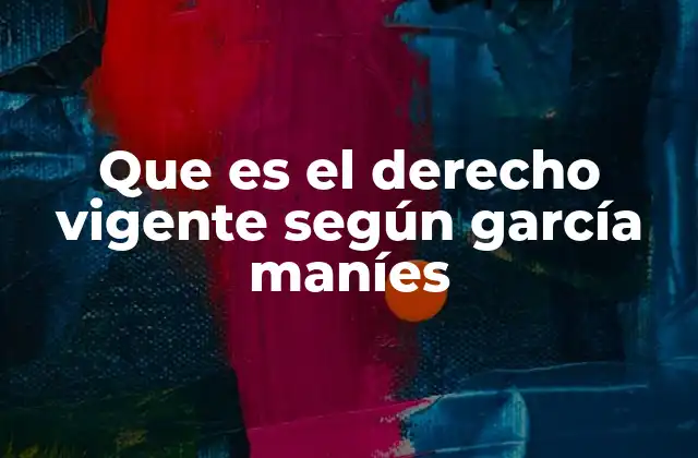 Que es el Derecho Vigente según García Maníes