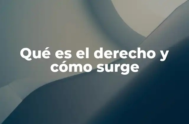 Qué es el Derecho y Cómo Surge
