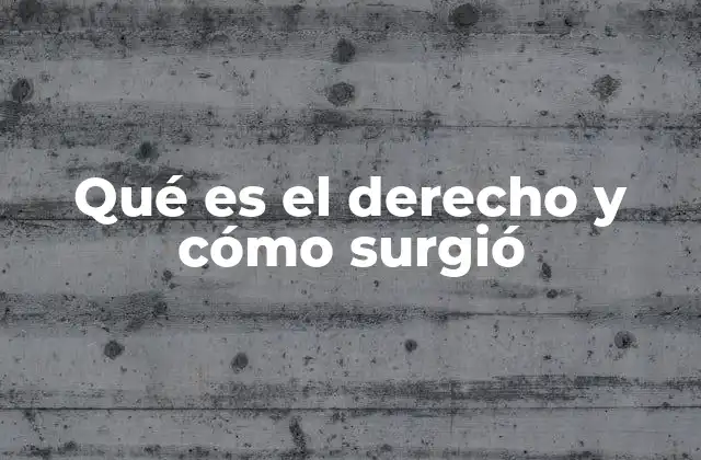 Qué es el Derecho y Cómo Surgió