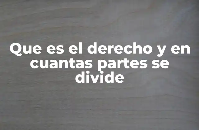 Que es el Derecho y en Cuantas Partes Se Divide