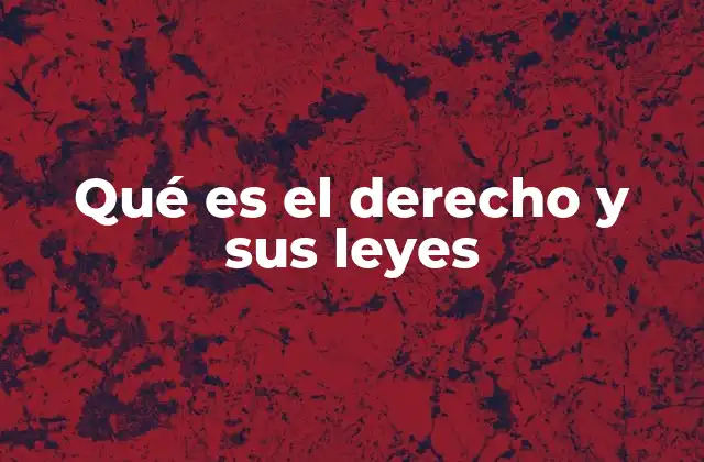 Qué es el Derecho y Sus Leyes
