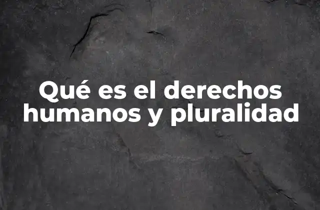 Qué es el Derechos Humanos y Pluralidad