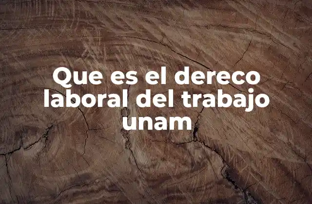 Que es el Dereco Laboral Del Trabajo Unam
