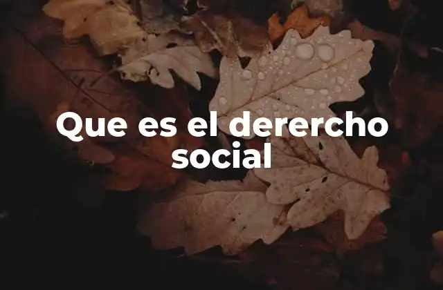 Que es el Derercho Social