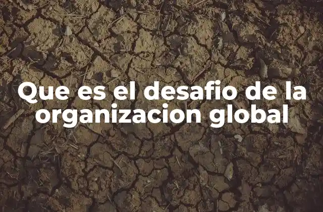 Que es el Desafio de la Organizacion Global