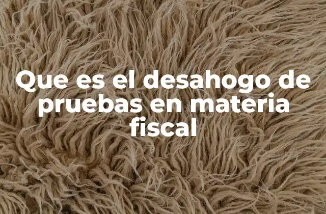Que es el Desahogo de Pruebas en Materia Fiscal
