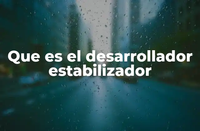 Que es el Desarrollador Estabilizador