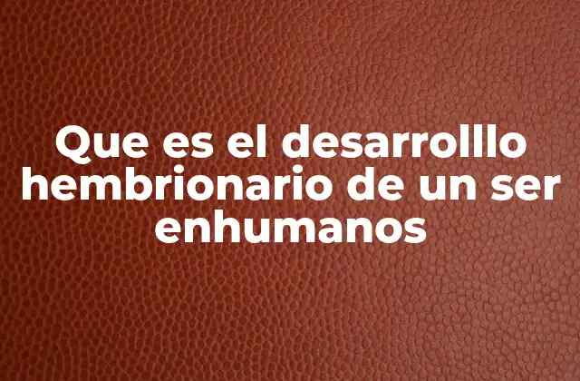 Que es el Desarrolllo Hembrionario de un Ser Enhumanos