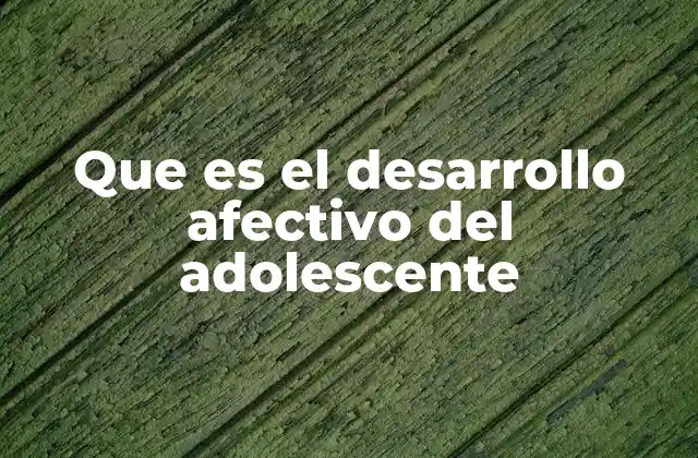 Que es el Desarrollo Afectivo Del Adolescente 2 La importancia de las relaciones en el desarrollo afectivo adolescente