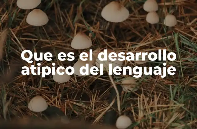 Que es el Desarrollo Atipico Del Lenguaje