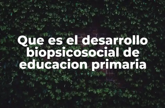 Que es el Desarrollo Biopsicosocial de Educacion Primaria 2 La importancia del desarrollo integral en la formación escolar