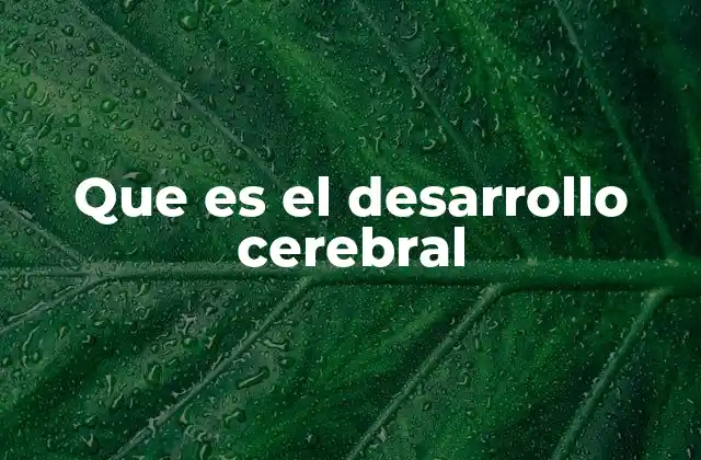 Que es el Desarrollo Cerebral