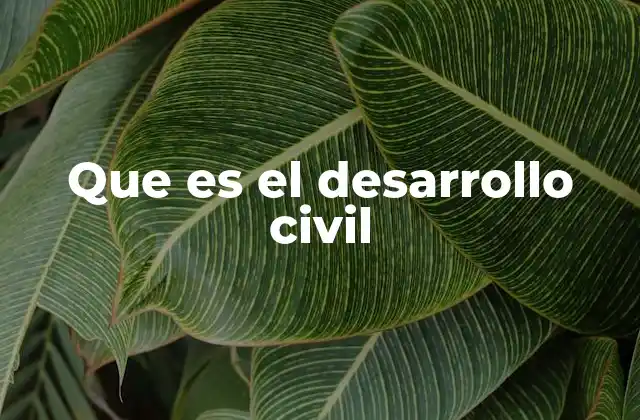 Que es el Desarrollo Civil