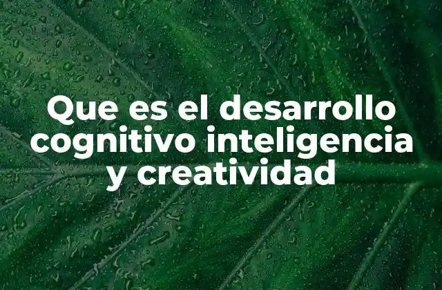 Que es el Desarrollo Cognitivo Inteligencia y Creatividad