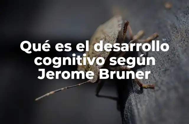 Qué es el Desarrollo Cognitivo según Jerome Bruner