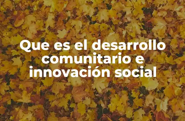 Que es el Desarrollo Comunitario e Innovación Social