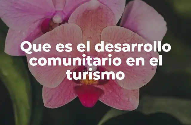 Que es el Desarrollo Comunitario en el Turismo