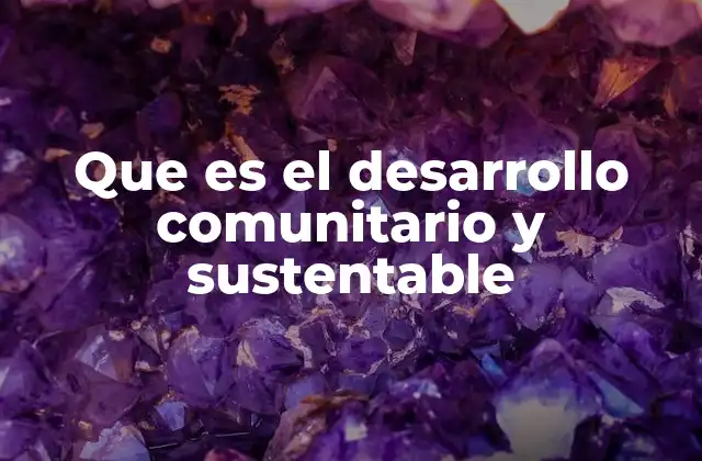 Que es el Desarrollo Comunitario y Sustentable