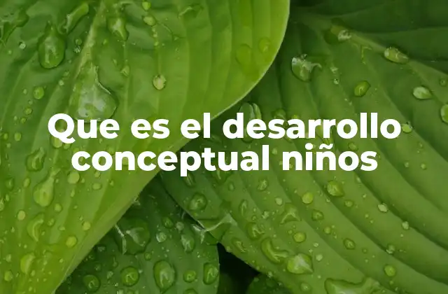 Que es el Desarrollo Conceptual Niños