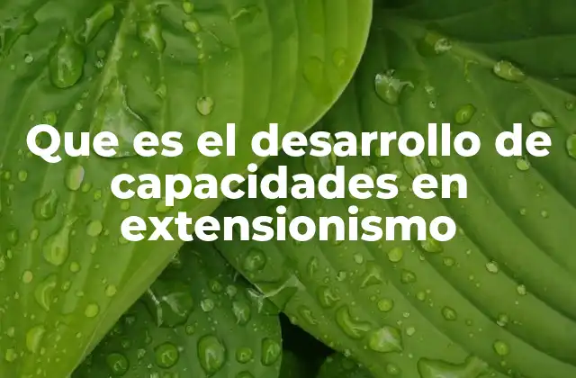 La importancia del empoderamiento en el contexto rural