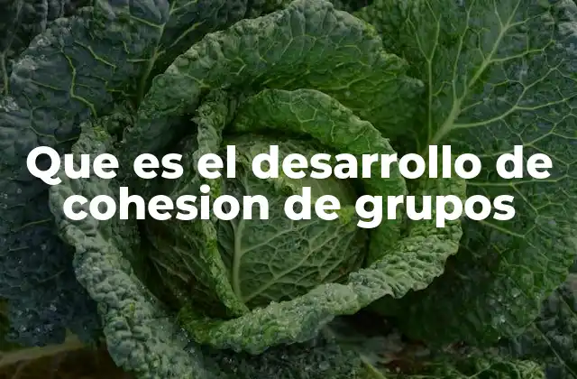 La importancia de la cohesión en el entorno laboral
