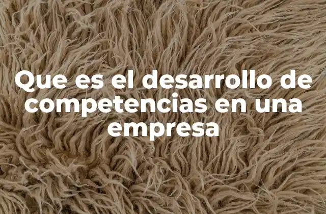 Que es el Desarrollo de Competencias en una Empresa
