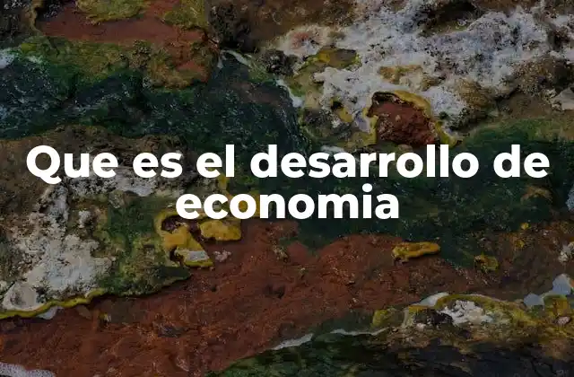 Que es el Desarrollo de Economia