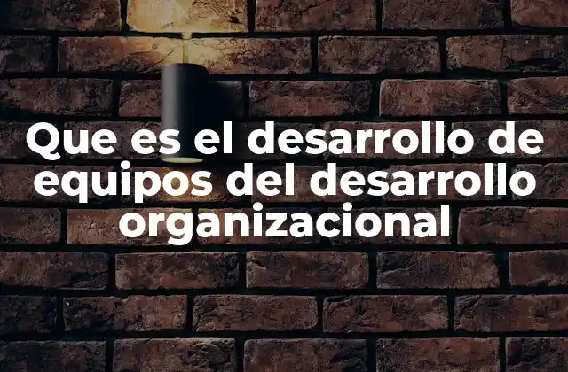Que es el Desarrollo de Equipos Del Desarrollo Organizacional