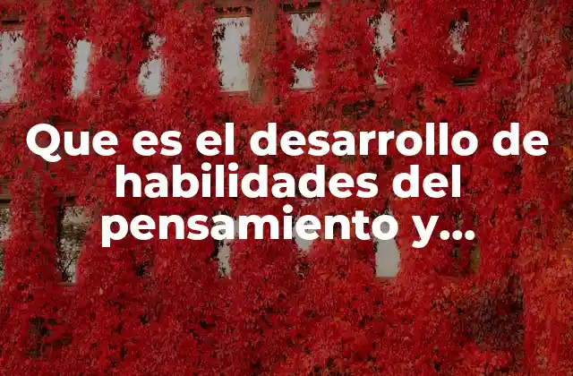 Que es el Desarrollo de Habilidades Del Pensamiento y Aprendisaje