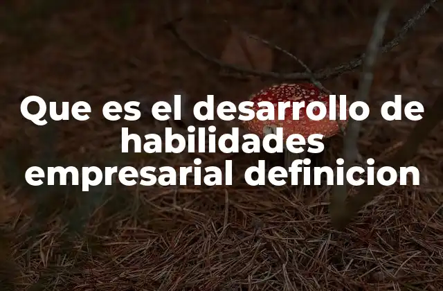Que es el Desarrollo de Habilidades Empresarial Definicion