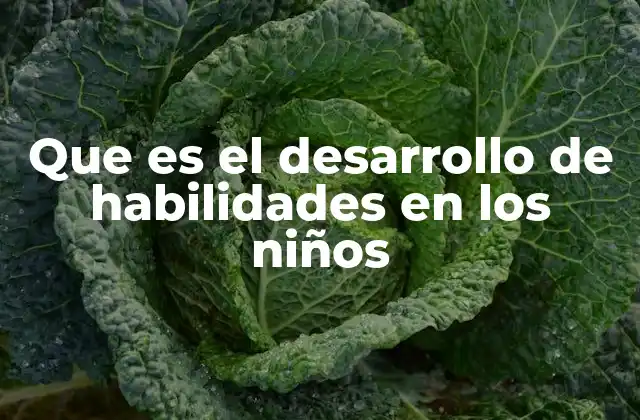 Que es el Desarrollo de Habilidades en los Niños 2 Cómo se manifiesta el crecimiento en capacidades de los más pequeños