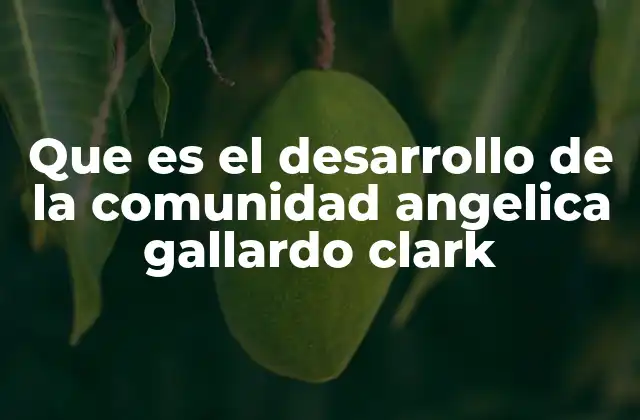 Que es el Desarrollo de la Comunidad Angelica Gallardo Clark
