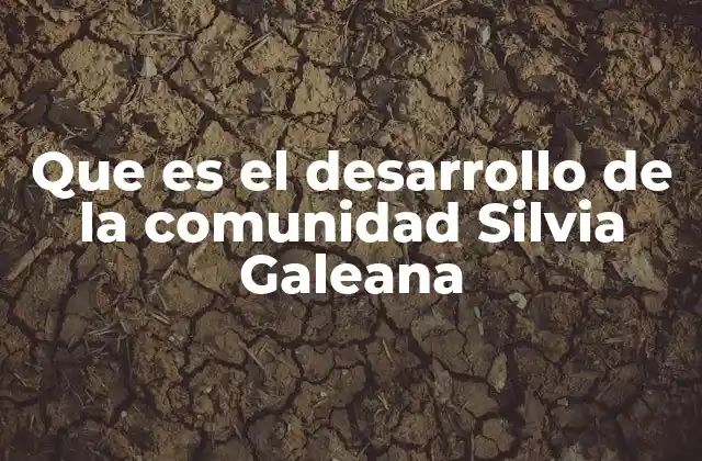 Que es el Desarrollo de la Comunidad Silvia Galeana