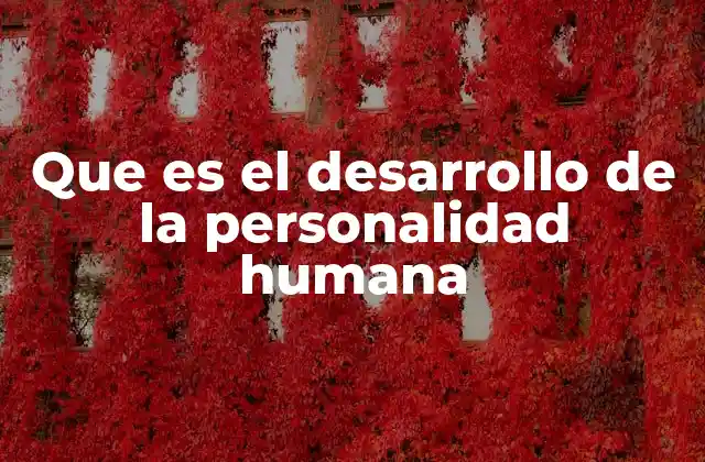 Que es el Desarrollo de la Personalidad Humana
