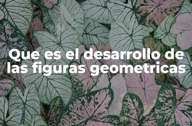 La importancia del desarrollo en la geometría espacial