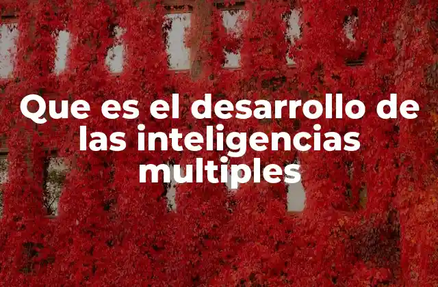 Que es el Desarrollo de las Inteligencias Multiples