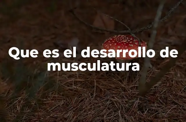 Cómo el cuerpo humano responde al estímulo de desarrollo muscular
