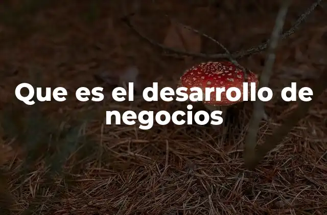 Que es el Desarrollo de Negocios