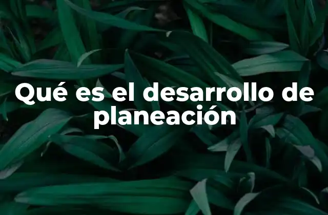 Qué es el Desarrollo de Planeación 2 La importancia de una visión clara en el desarrollo de planeación