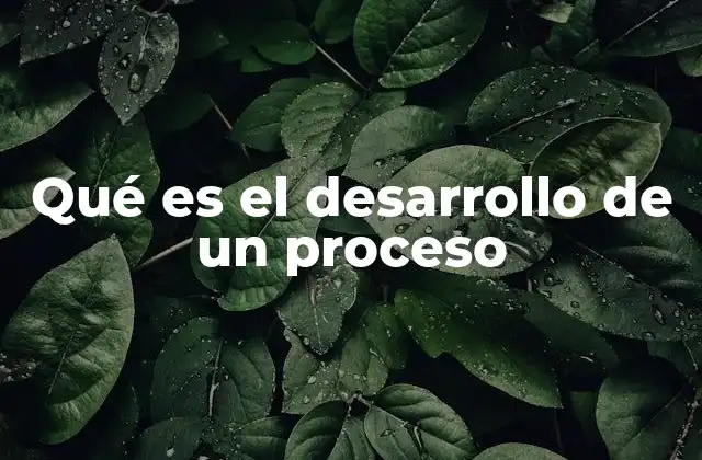 Qué es el Desarrollo de un Proceso