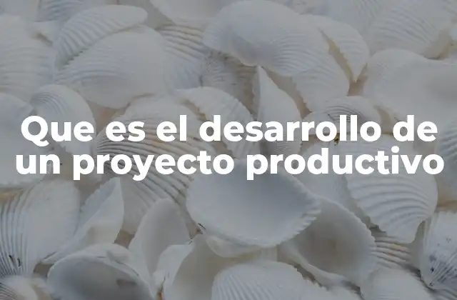 Que es el Desarrollo de un Proyecto Productivo