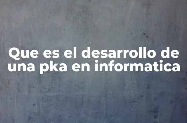 Que es el Desarrollo de una Pka en Informatica