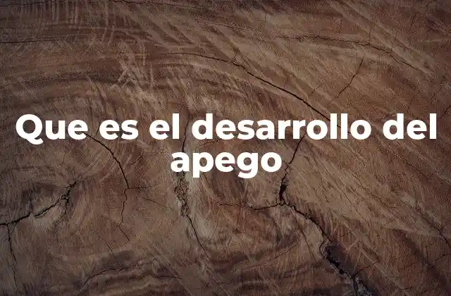 Que es el Desarrollo Del Apego