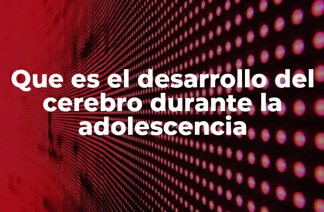 Que es el Desarrollo Del Cerebro durante la Adolescencia