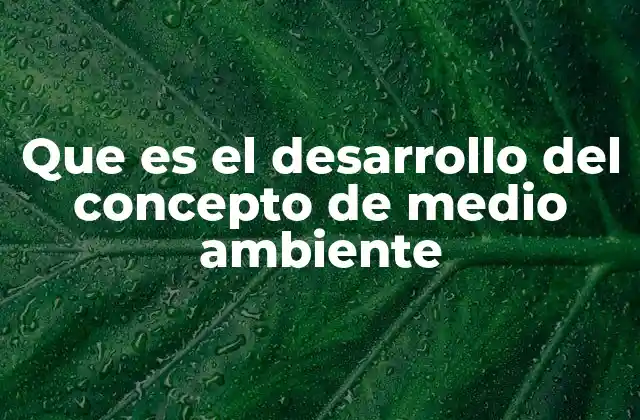 El medio ambiente como reflejo de los cambios sociales y económicos