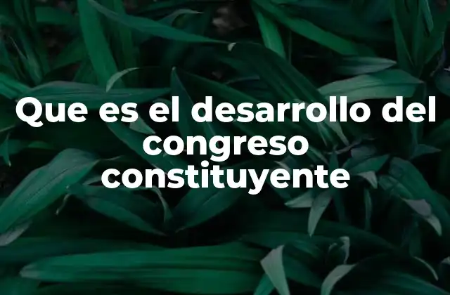 Que es el Desarrollo Del Congreso Constituyente 2 El papel del congreso constituyente en la organización del Estado