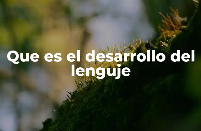 Que es el Desarrollo Del Lenguje