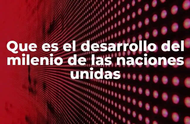 Que es el Desarrollo Del Milenio de las Naciones Unidas